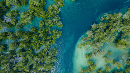 Aerial view of Mangrove forest, Mandalika surrounding area seascape aerial view © ady sanjaya
