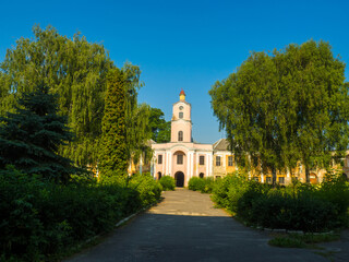 Fototapeta na wymiar The old Olyka Castle with tower, Volyn region, Ukraine. Radziwill estate.