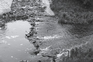 river in the forest