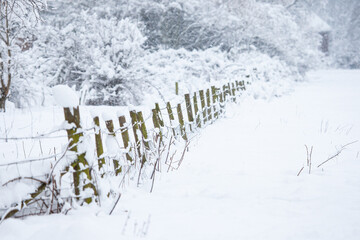 Snow-covered fence and trees in a field in Surrey, UK