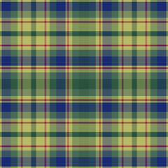 Tartan plaid pattern with texture.