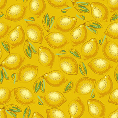 Watercolor seamless pattern with lemons on the white background. Vector illustration. Hand drawn background.