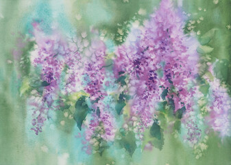 Fototapeta na wymiar Violet lilac flower branches with leaves watercolour background