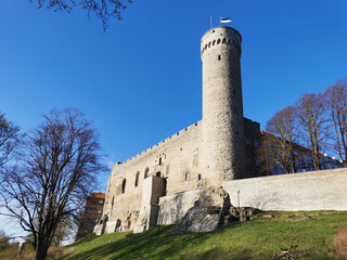 The tower and walls of Toompea Castle from the side of the road, seen through the branches of a...