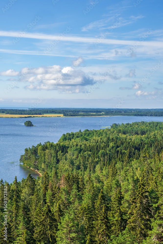 Sticker Beautiful aerial view of a forest by a lake