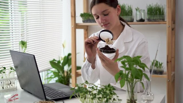 Handsome women microbiologist looking at a dead plant in a sample flask with magnifying glass. Medical scientist working in a modern food science laboratory with technology computers. Biologist