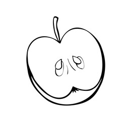 Vector half of an apple. Contour of cut fruit. Outline hand drawn illustration, clipart, design element in doodle style, isolated