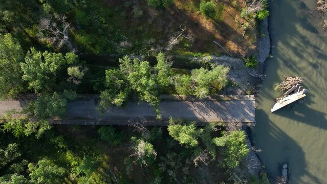Collapsed bridge in the forest