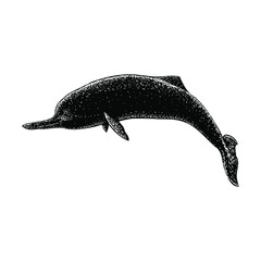 baiji dolphin illustration isolated on background	