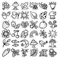Nature pattern with hand drawn outline leaves, herbs, flowers, insects, animals and other objects
