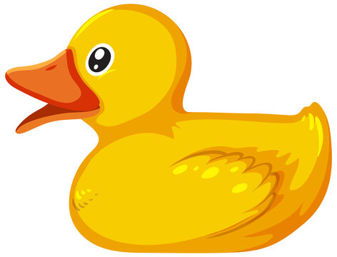 A yellow toy duck on white background