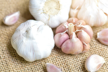 garlic bulbs and garlic cloves on a cloth sack. Selected focus. Concept of spices for healthy cooking. close-up. Organic garlic top view.