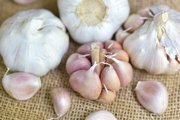 garlic bulbs and garlic cloves on a cloth sack. Selected focus. Concept of spices for healthy cooking. close-up. Organic garlic top view.