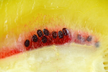 Macro shot of juicy red kiwi slice.