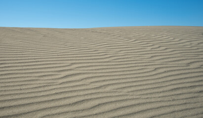 Fototapeta na wymiar Sand dunes againt blue sky. Desert dry coast land Cyprus