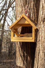 Obraz na płótnie Canvas Wooden feeder in the form of a house hanging on a tree trunk. Feeding hungry birds. Birdwatching. Caring for birds in the wild