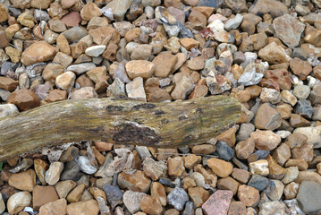 Old Wooden Branch on Gravel Background in Close Up 