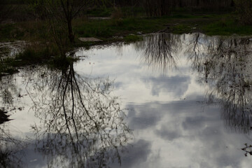 reflection in the water