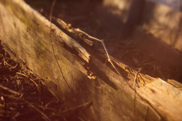 close up of a board