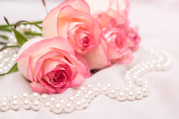 The branch of pink rose on white fabric background
