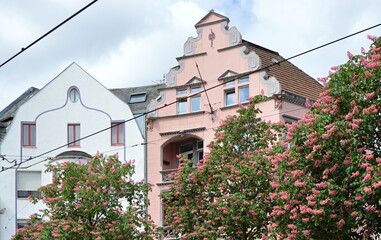 Historische Bauwerke im Frühling in der Altstadt von Bonn, Nordrhein - Westfalen