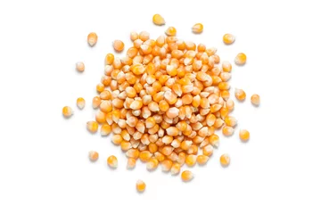 Fotobehang Pile of  dry corn seed isolated on white background © koosen