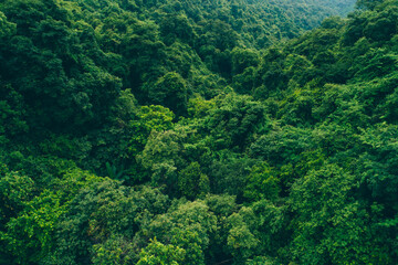 Aerial view of beautiful forest mountain landscape