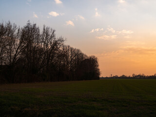 Fototapeta na wymiar sunset in an Italian countryside