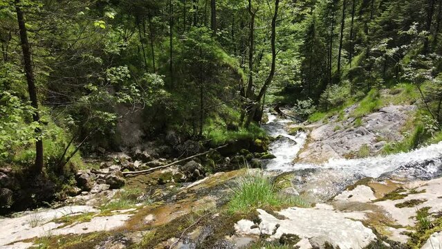 Wasserlauf - Gebirgsbach