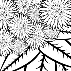 Floral colouring book page template. Outline sketch, contour drawing, graphic vector illustration isolated on white background. Anti stress activity. Sunflower pattern.