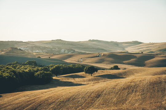 Agriturismo Baccoleno