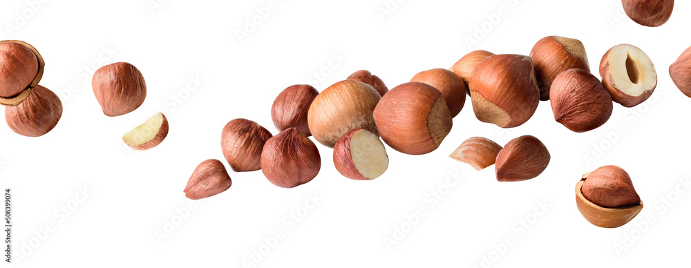 Wall mural full Hazelnut fly on white isolated with clipping path, Hazelnut nut isolated, Set of hazelnuts ,hazel fall, Hazelnut pieces in the air