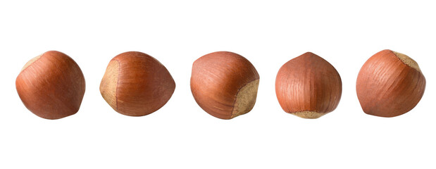 full Hazelnut fly on white isolated with clipping path, Hazelnut nut isolated, Set of hazelnuts ,hazel fall, Hazelnut pieces in the air