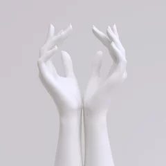 Fotobehang 3d rendering perfect white female mannequin hands isolated, body parts, fashion concept, holding gesture cosmetic product presentation and object display background © vpanteon