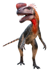 Obraz premium Proceratosaurus is a genus of small-sized carnivorous theropod dinosaur from the Middle Jurassic. Proceratosaurus is isolated on white background with a clipping path. 