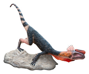 Proceratosaurus on the stone. Proceratosaurus is a genus of small-sized carnivorous theropod...