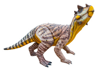 Psittacosaurus Sibiricus is a herbivorous genus of extinct ceratopsian dinosaur from the Early Cretaceous, Psittacosaurus Sibiricus is isolated on white background with a clipping path.