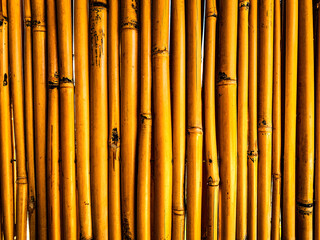 Naklejka premium Bamboo background
