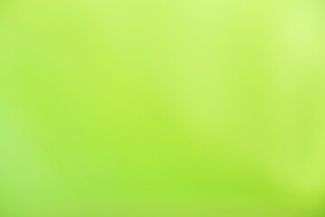 Fototapeta premium Light green of banana leaves, for background image.