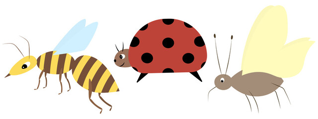 Collection of insects. Wasp, ladybug, mosquito. Colored vector illustration set. Flat style. Winged creatures. Isolated background. Idea for web design.