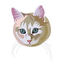 Detailed realistic color portrait of a fluffy ginger cat with green eyes in vector. Cat head drawing isolated on white background. Symbol of chinese new year 2023.