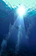 Underwater photography of a scuba diver in the deep blue sea in beautiful light and surrounded by air bubbles.