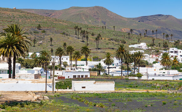 View to the village Haria on Lanzarote with typical white houses. Haria is known as the valley of a thousand palm trees