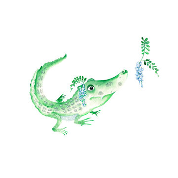 Adorable baby crocodile and acacia branch isolated on white background. Watercolor hand drawn illustration.