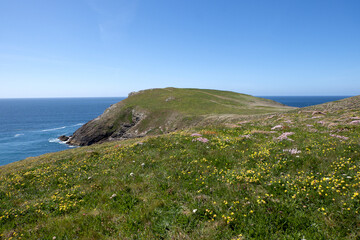 Trevose Head Point Mother Ivy's Bay Boobys Bay Constantine Bay Cornwall England UK