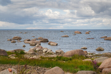 Fototapeta na wymiar Rocky coast of the Gulf of Finland.