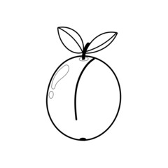 Apricot coloring page for adults and kids. Black and white print with fruit in cartoon style. Outline apple isolated element. Vector illustration
