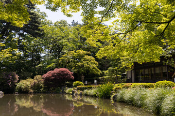 Fototapeta na wymiar 初夏の日本庭園
