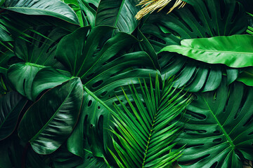 closeup nature view of palms and monstera and fern leaf background. Flat lay, dark nature concept,...