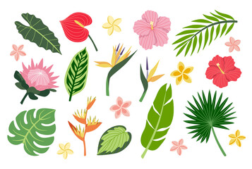 Vector illustrations set of bright tropical flowers and leaves. Exotic plants collection. Botanical summer clipart